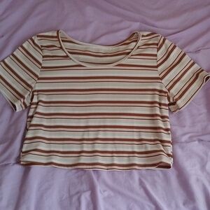 Coffee Brown Stripped XXL Crop Top